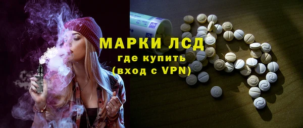 прущие грибы Нефтекумск
