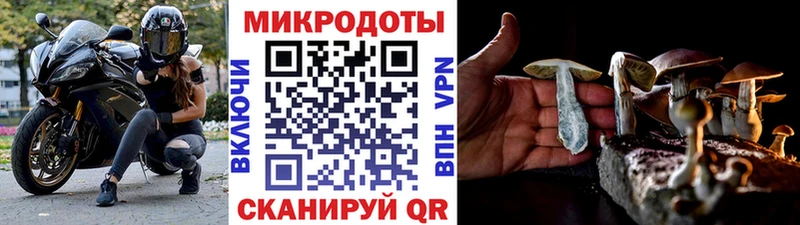 гидра маркетплейс  Норильск  Псилоцибиновые грибы GOLDEN TEACHER 