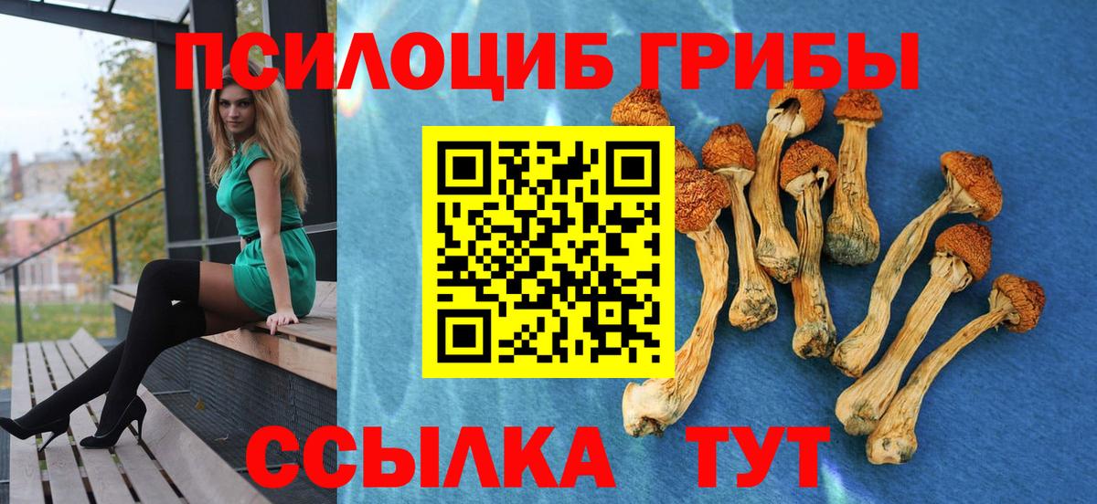 Галлюциногенные грибы мицелий  Вход с VPN  Галлюциногенные грибы Psilocybe  Норильск 