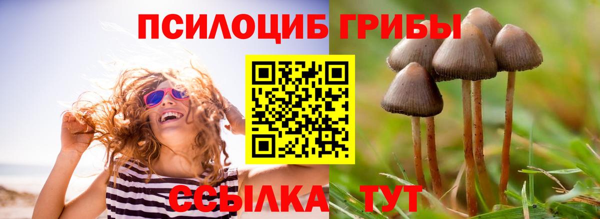 Псилоцибиновые грибы мицелий Норильск